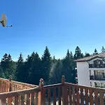 Ferdinand Luxury Penthouse In Borowec