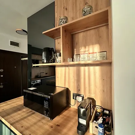 Ferdinand Luxury Penthouse In * Borovets
