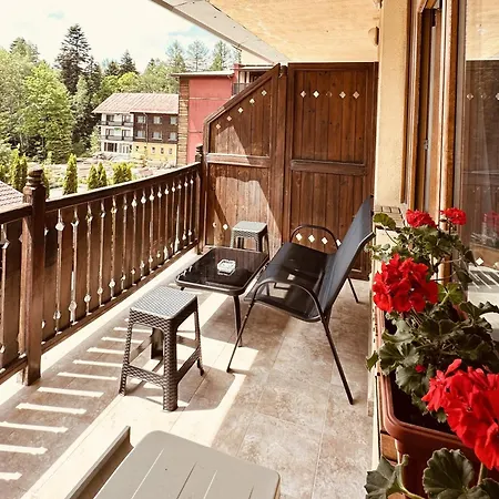 Ferdinand Luxury Penthouse In Appartement